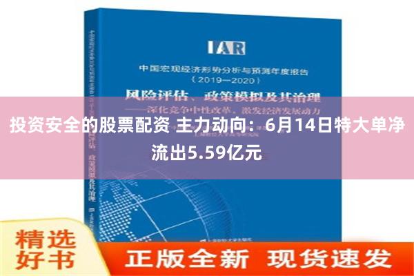 投资安全的股票配资 主力动向：6月14日特大单净流出5.59亿元