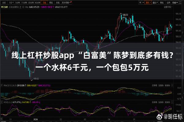 线上杠杆炒股app “白富美”陈梦到底多有钱？一个水杯6千元，一个包包5万元