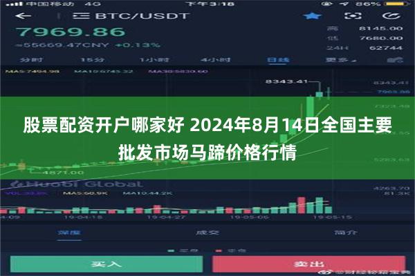 股票配资开户哪家好 2024年8月14日全国主要批发市场马蹄价格行情