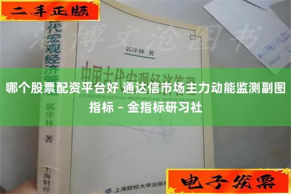 哪个股票配资平台好 通达信市场主力动能监测副图指标 – 金指标研习社