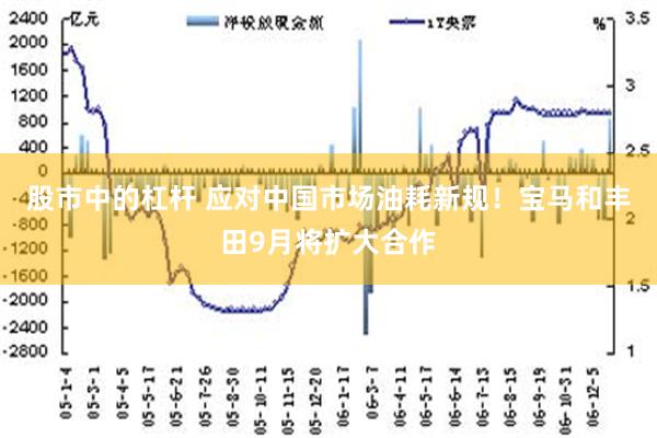 股市中的杠杆 应对中国市场油耗新规！宝马和丰田9月将扩大合作