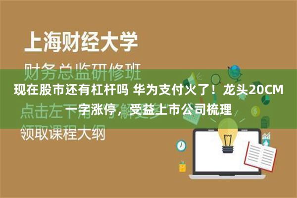 现在股市还有杠杆吗 华为支付火了！龙头20CM一字涨停，受益上市公司梳理