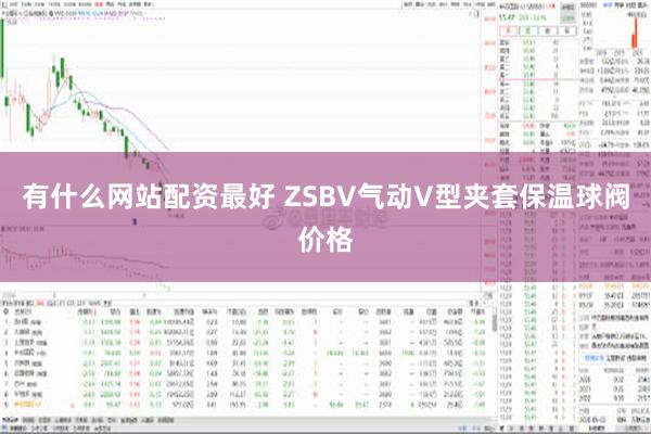 有什么网站配资最好 ZSBV气动V型夹套保温球阀价格