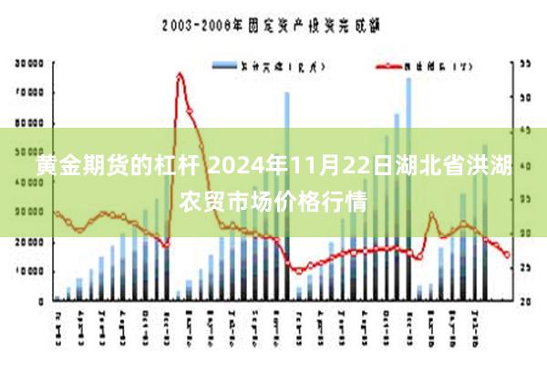 黄金期货的杠杆 2024年11月22日湖北省洪湖农贸市场价格行情