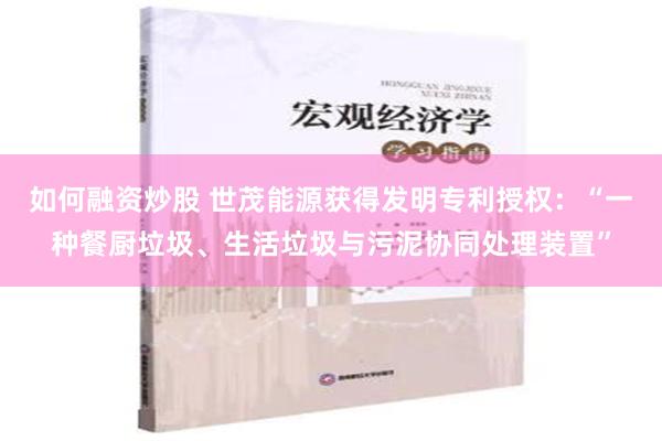 如何融资炒股 世茂能源获得发明专利授权：“一种餐厨垃圾、生活垃圾与污泥协同处理装置”