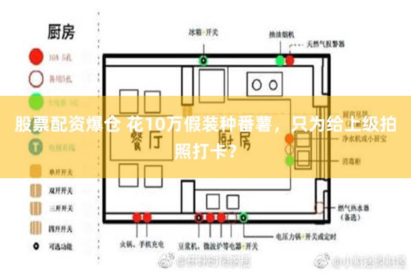 股票配资爆仓 花10万假装种番薯，只为给上级拍照打卡？